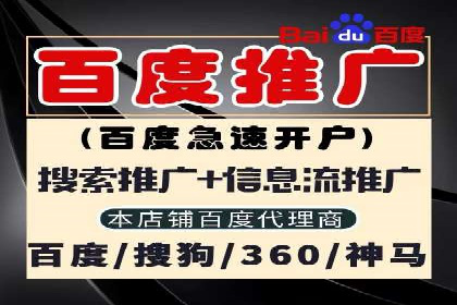某某SEM服务公司如何帮助企业实现ROI最大化
